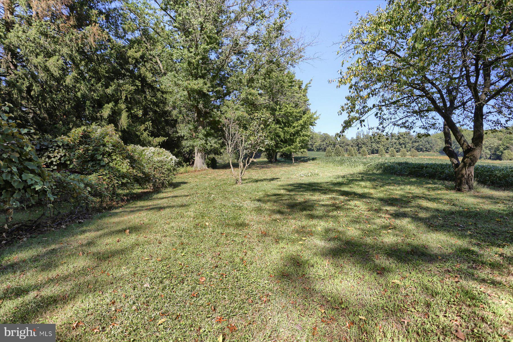 830 Stauffers Church Road Palmyra, PA 17078 - Photo 10 of 53 Rear yard