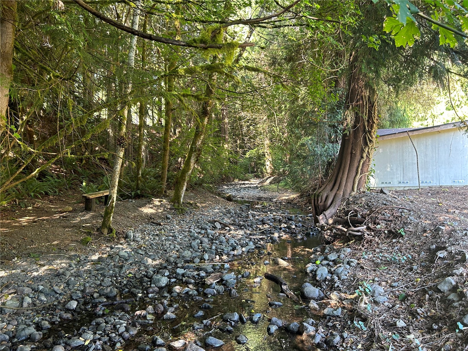 41 Cove Way Brinnon, WA 98320 - Photo 33 of 39 a view of a backyard