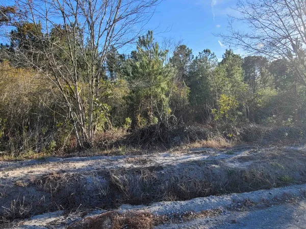 $92,610 | Tbd Lot 3 Tbd Road, Loris, SC 29569