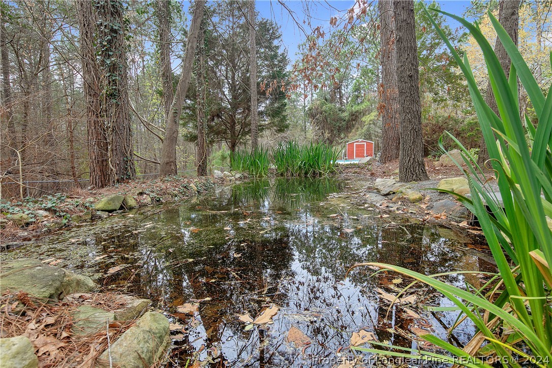 7833 Shuttle Road Fayetteville, NC 28311 - Photo 46 of 46 a view of a yard with large trees