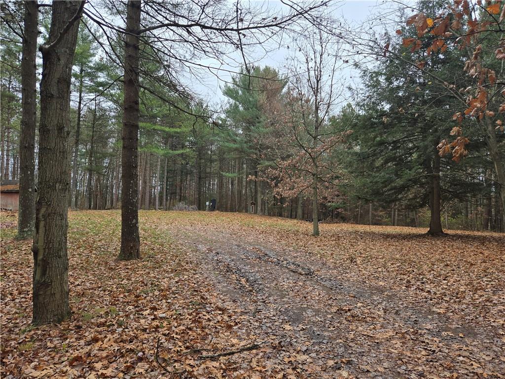 115 Rocks Road Parker, PA 16049 - Photo 3 of 11 a backyard of a house