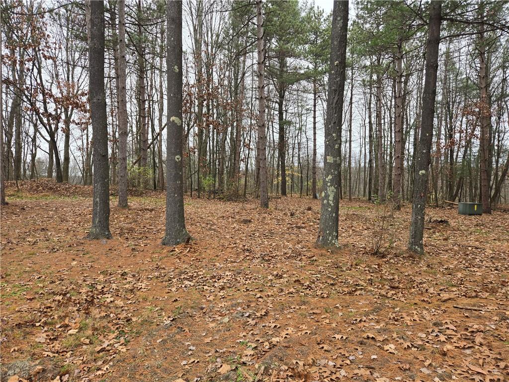 115 Rocks Road Parker, PA 16049 - Photo 6 of 11 a backyard of a house with lots of green space