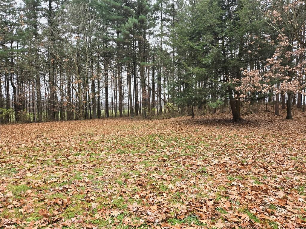 115 Rocks Road Parker, PA 16049 - Photo 8 of 11 a view of outdoor space with trees