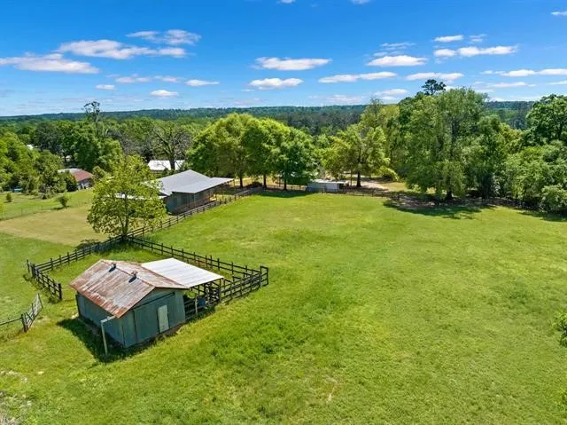 a view of a yard with large trees