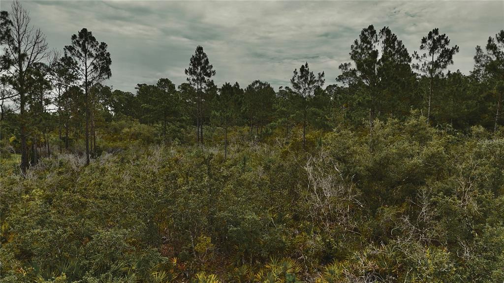 10-11 Adams Beach Road Perry, FL 32348 - Photo 27 of 38