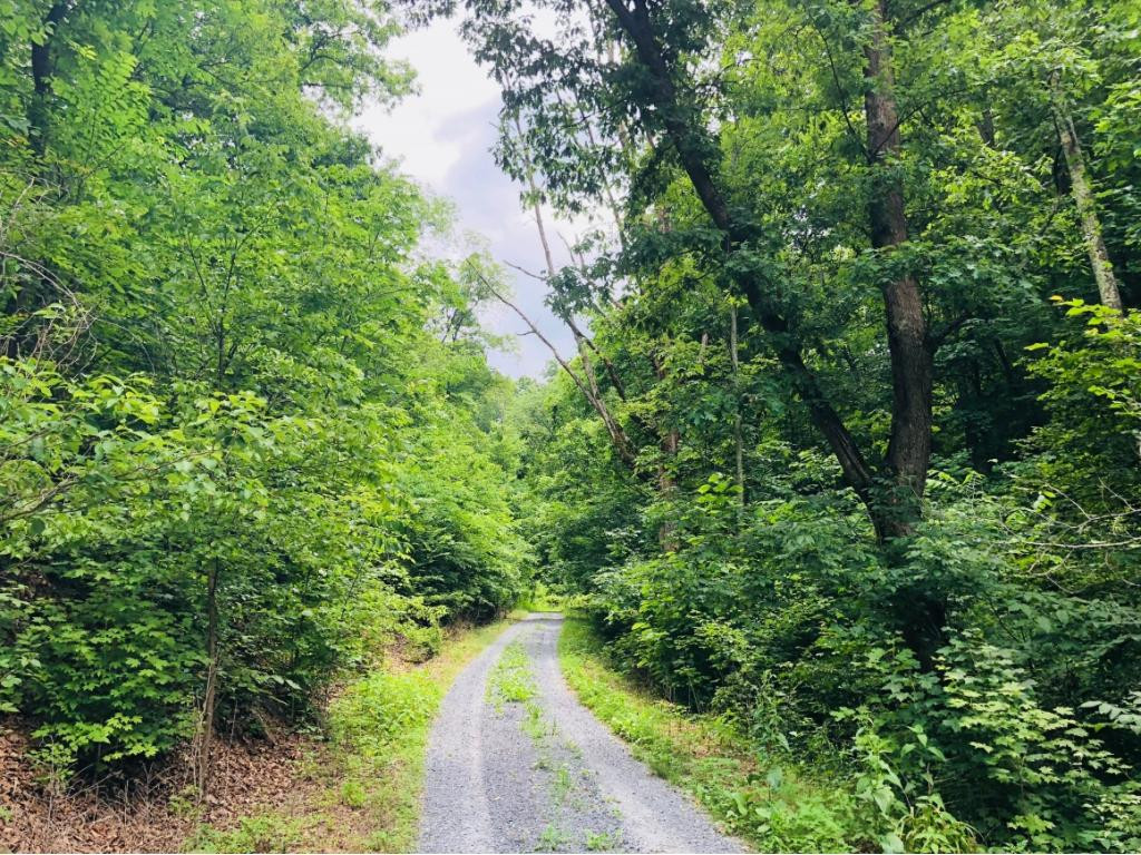 Tbd Chock Creek Road Johnson City, TN 37601 - Photo 17 of 34 Half Mile Driveway