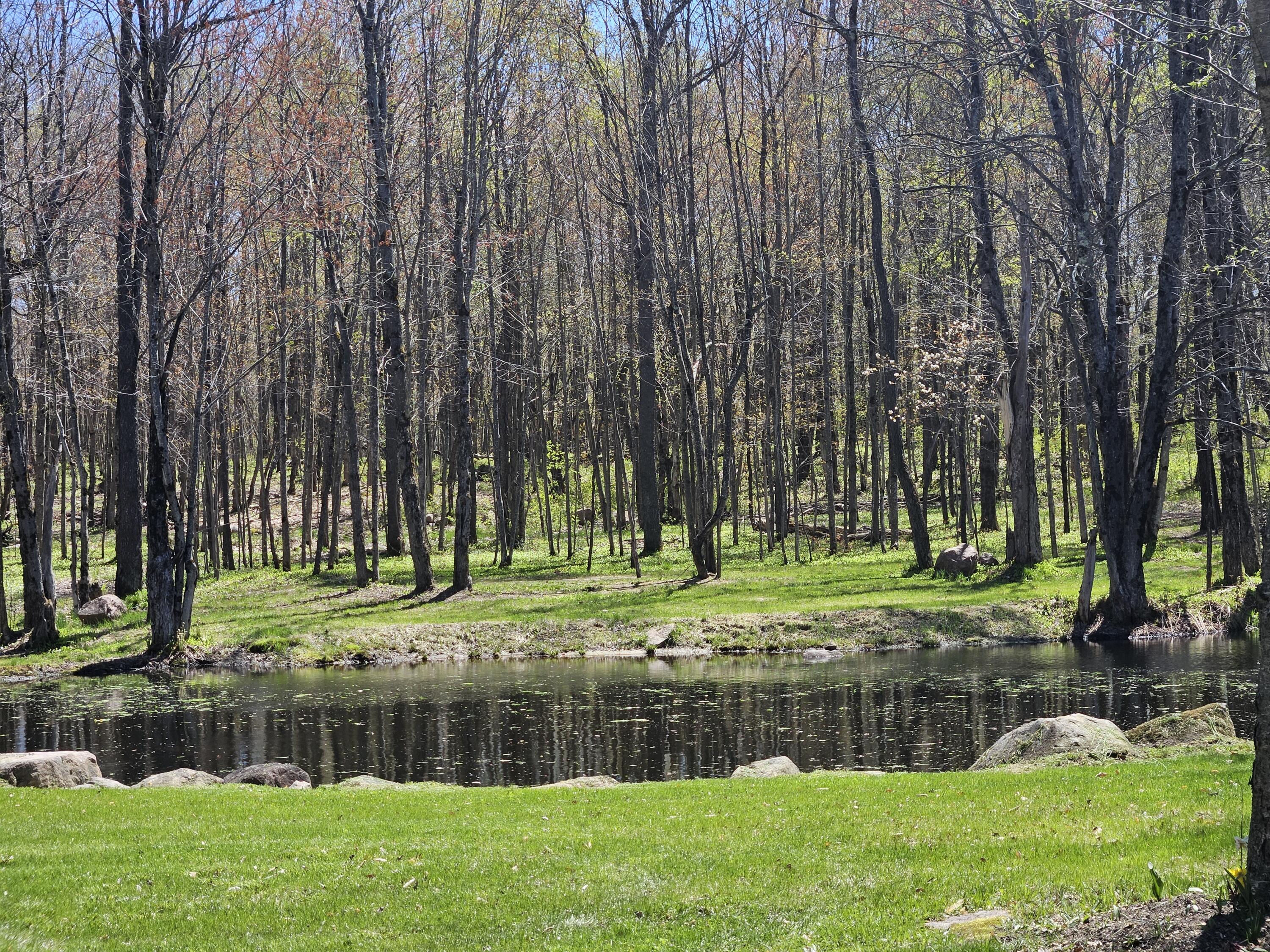 58 Hewitt Road St. Regis Falls, NY 12980 - Photo 88 of 126