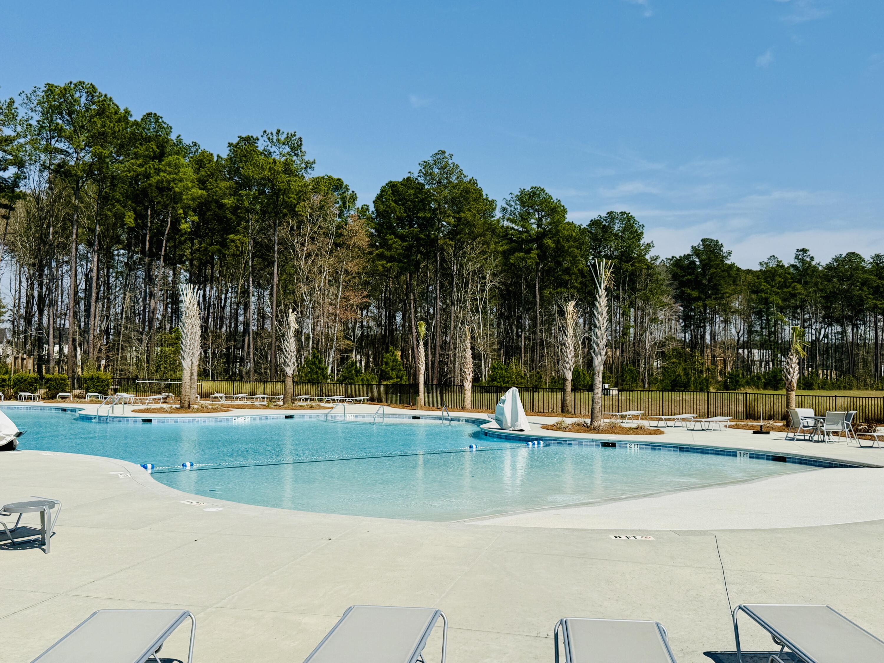 424 Water Orchid Way Moncks Corner, SC 29461 - Photo 37 of 39 424D (5)
