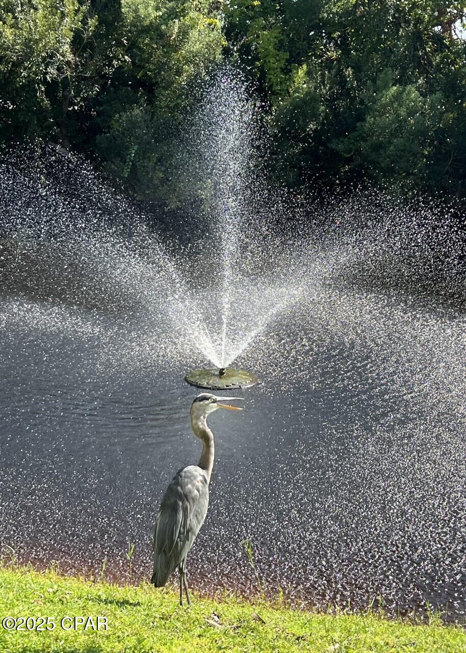 17462 Front Beach Road, Unit 60202 Panama City Beach, FL 32413 - Photo 46 of 48