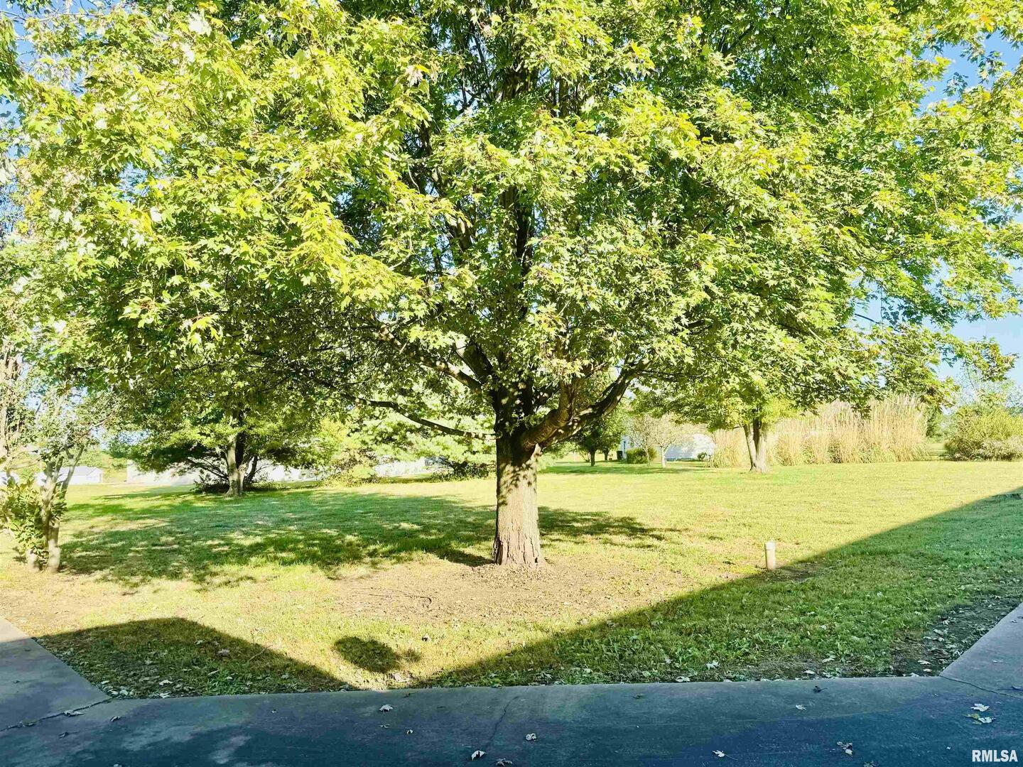 965 Goreville Road, Unit 16 Goreville, IL 62939 - Photo 25 of 29