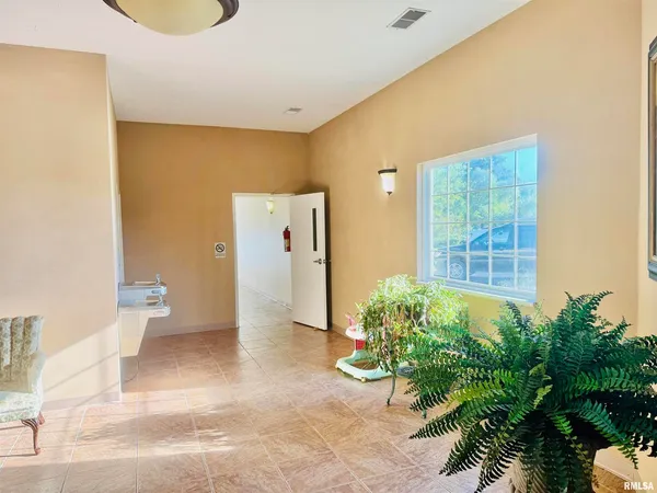 a view of a living room with a potted plant