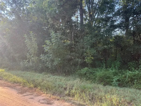 $7,000 | Tbd Richard Street, Coldspring, TX 77331