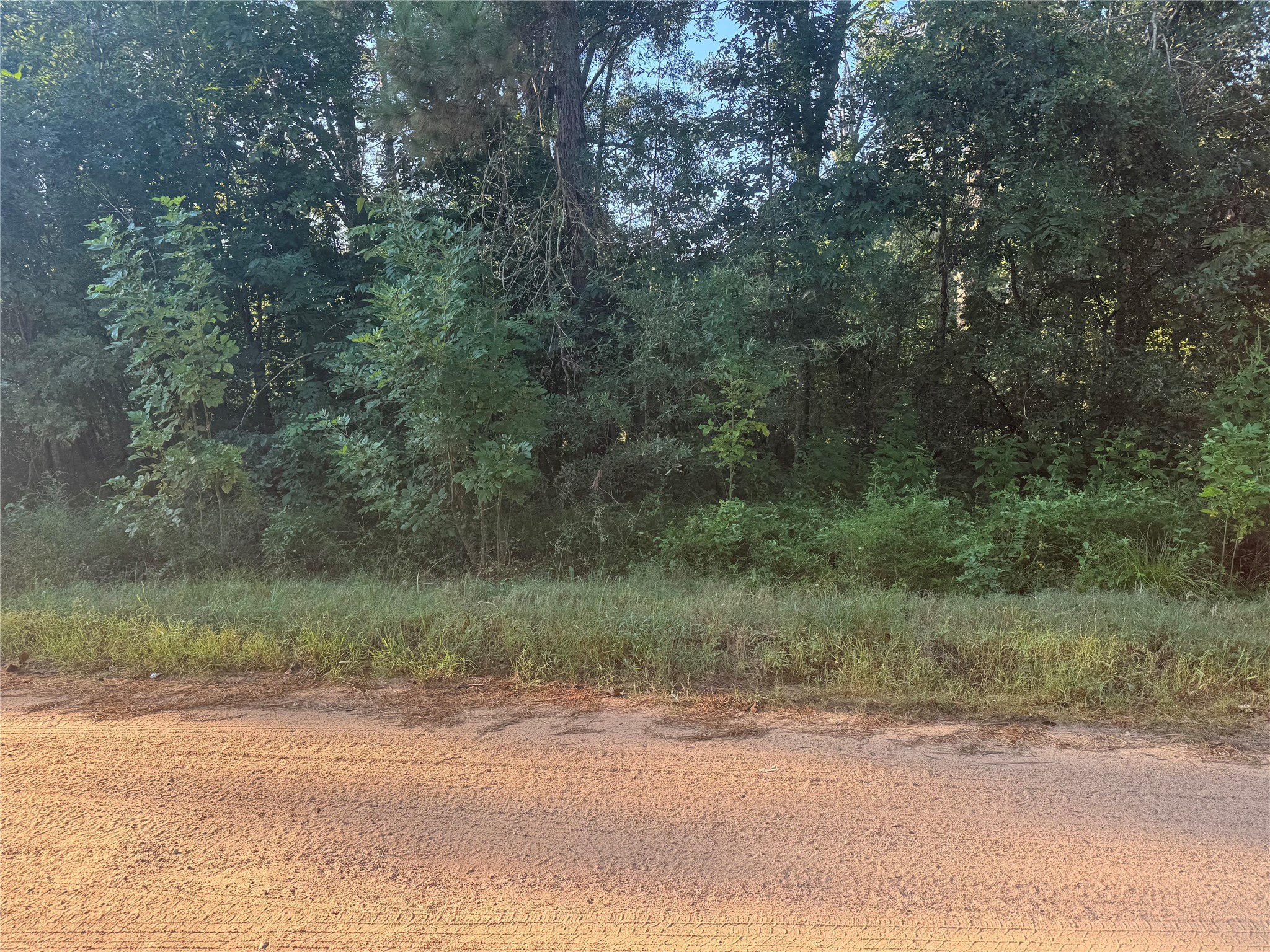 Tbd Richard Street Coldspring, TX 77331 - Photo 4 of 7