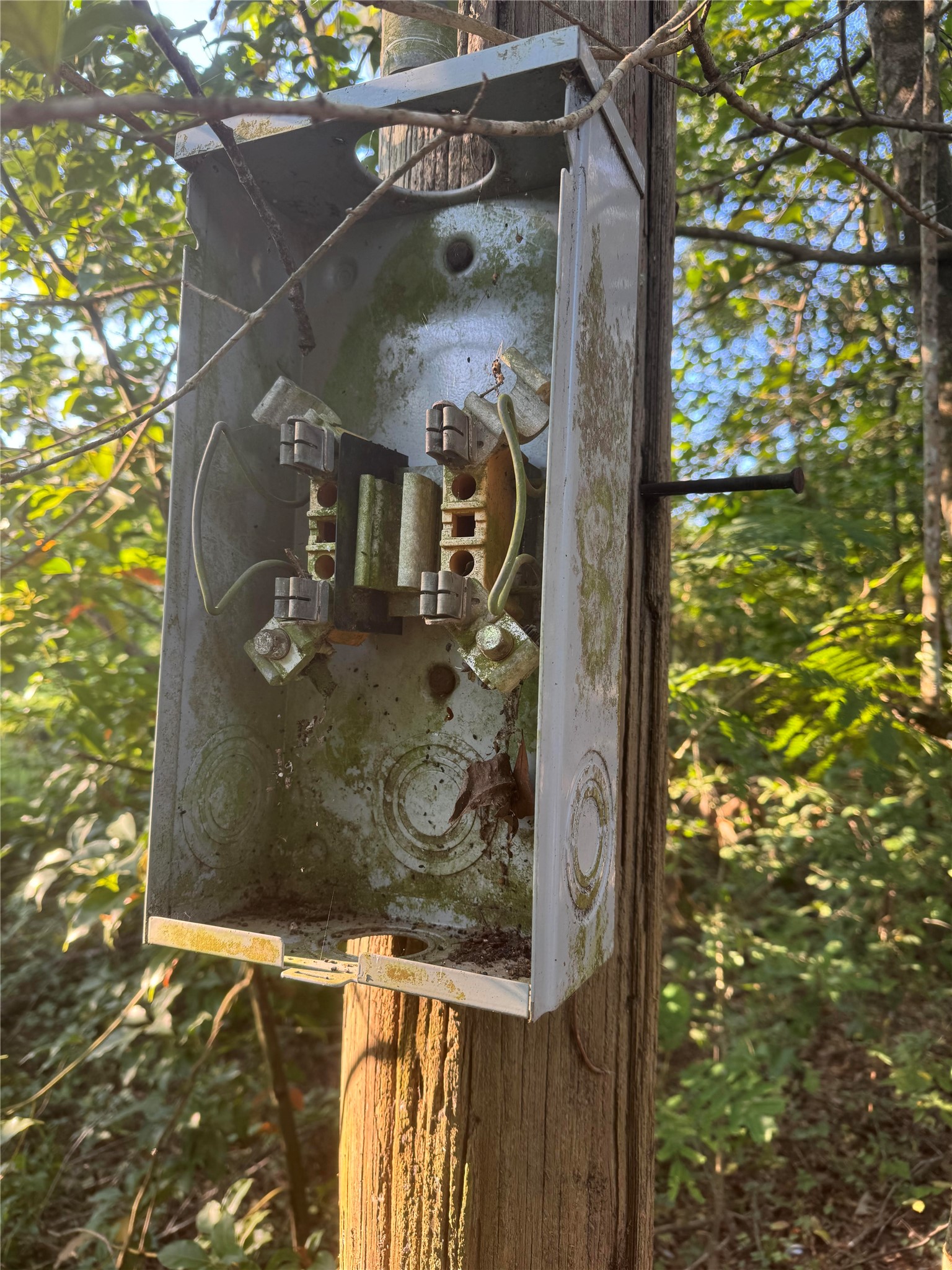 Tbd Richard Street Coldspring, TX 77331 - Photo 6 of 7