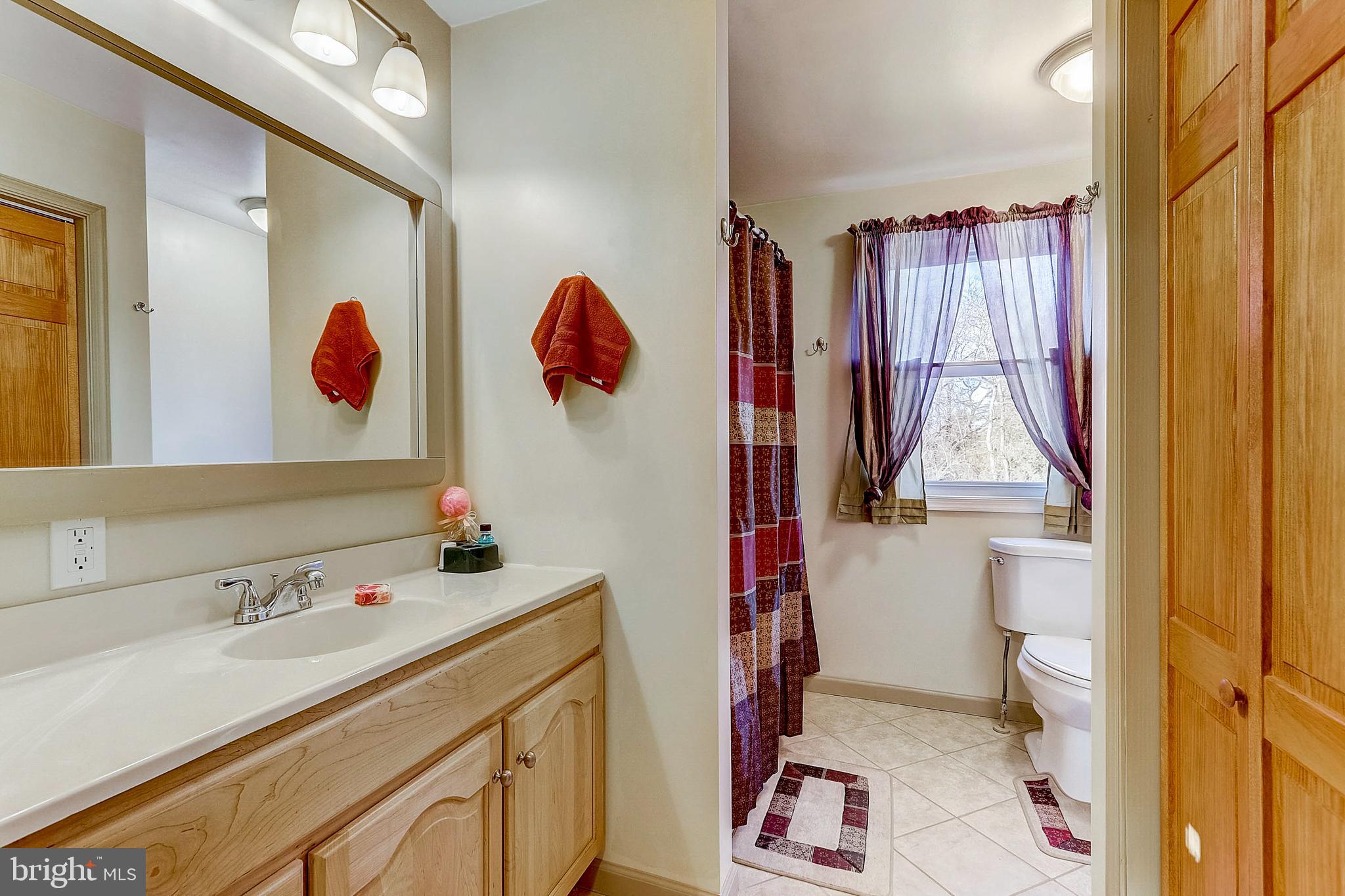 100 Diamond Rock Road Phoenixville, PA 19460 - Photo 33 of 49 Hall Bath