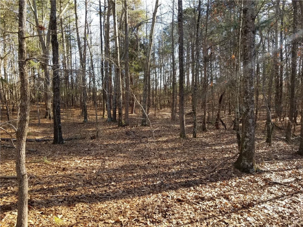 134 Fant Road Belton, SC 29627 - Photo 15 of 15