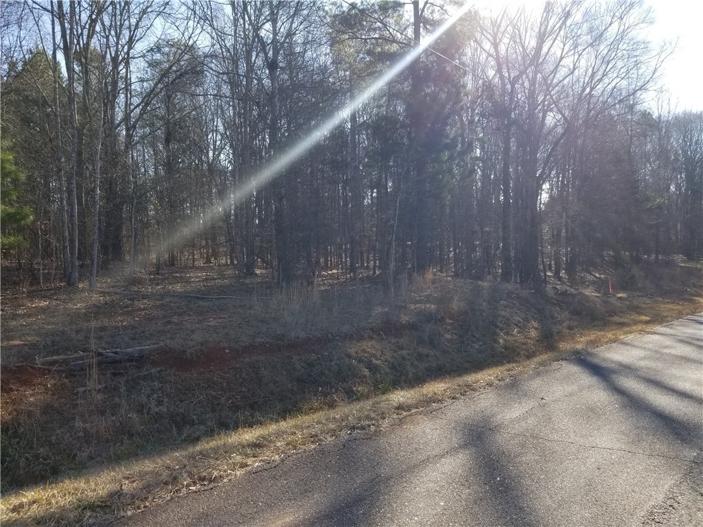 134 Fant Road Belton, SC 29627 - Photo 3 of 15