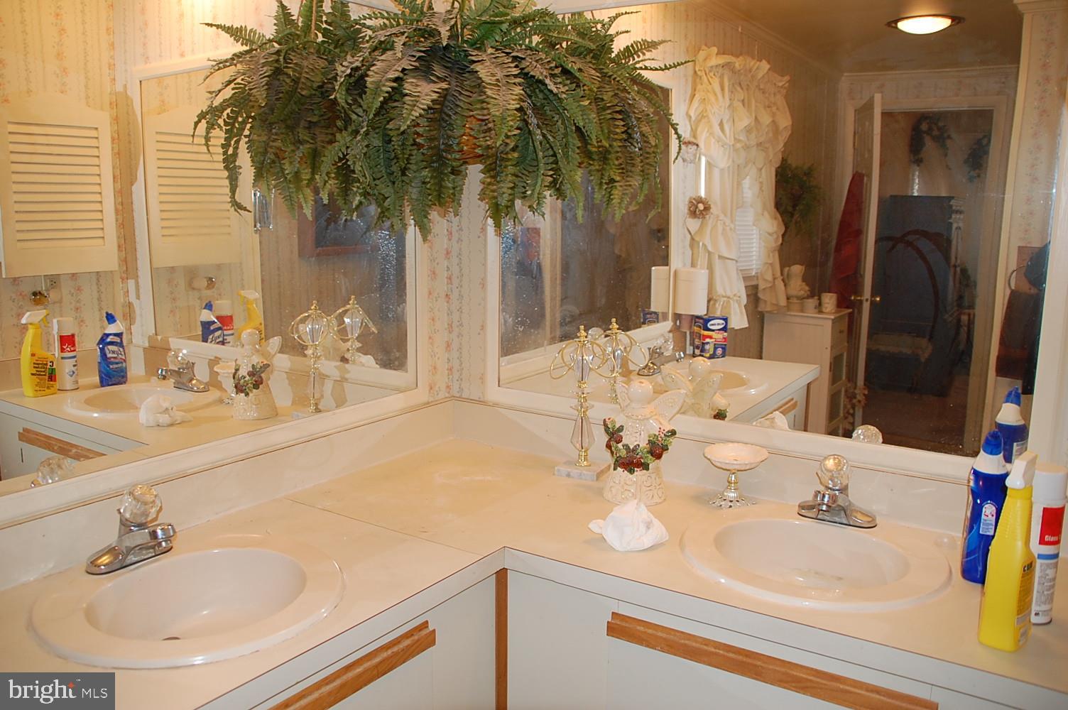 10505 Cedarville Road Brandywine, MD 20613 - Photo 18 of 22 Master Bath Double Sink