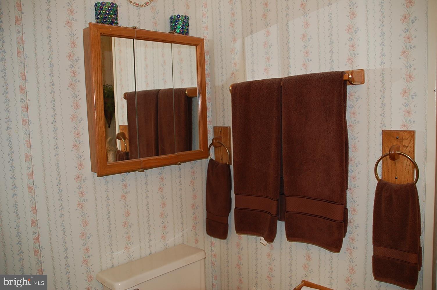 10505 Cedarville Road Brandywine, MD 20613 - Photo 20 of 22 Master Bath