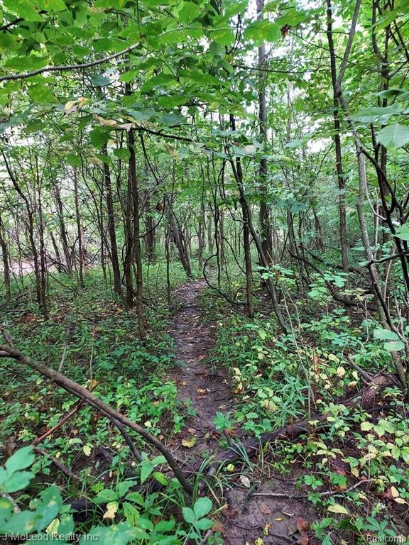 Vl Vassar Road Millington, MI 48746 - Photo 11 of 26