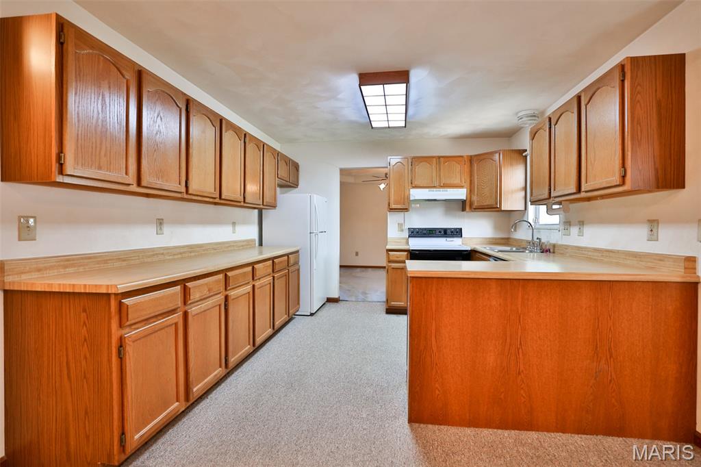 1530 Thunderbird Lane Belleville, IL 62221 - Photo 16 of 50