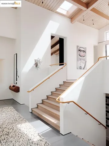 a view of a backyard with plants