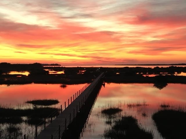 1 Radio Road, Unit 202 St. Augustine, FL 32084 - Photo 8 of 50 Gallery Image 8
