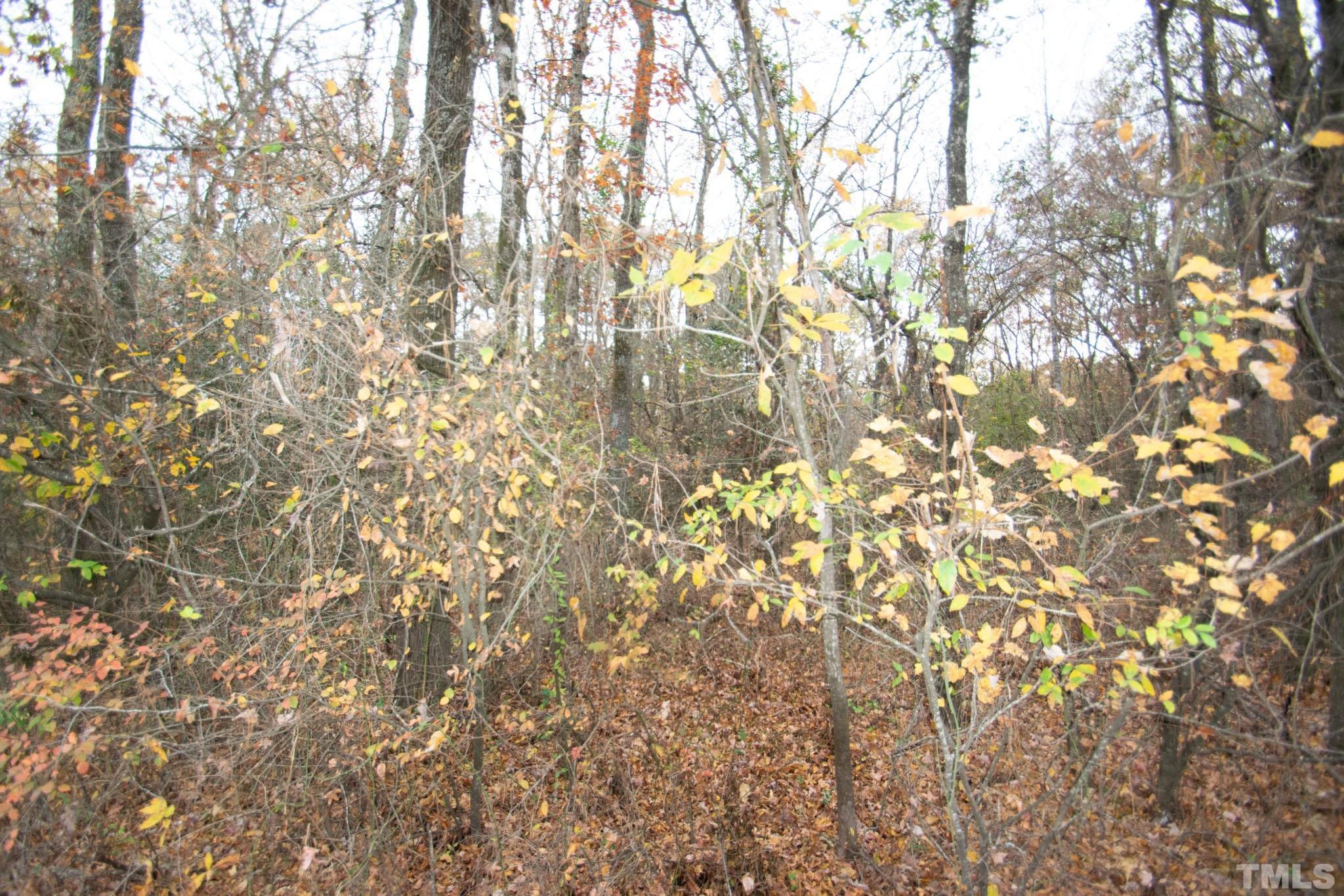 0 Sledge Road, Unit LOT 2B Bunn, NC 27508 - Photo 9 of 10 Gallery Image 9