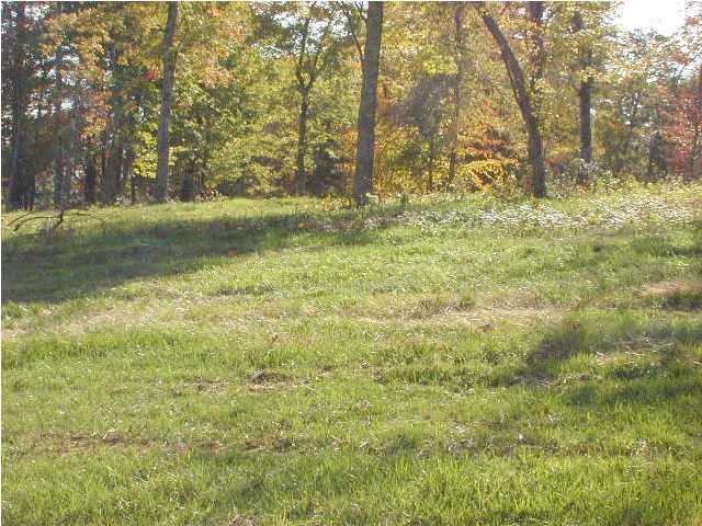 38 Rhea Springs Road Spring City, TN 37381 - Photo 1 of 2 Primary Photo