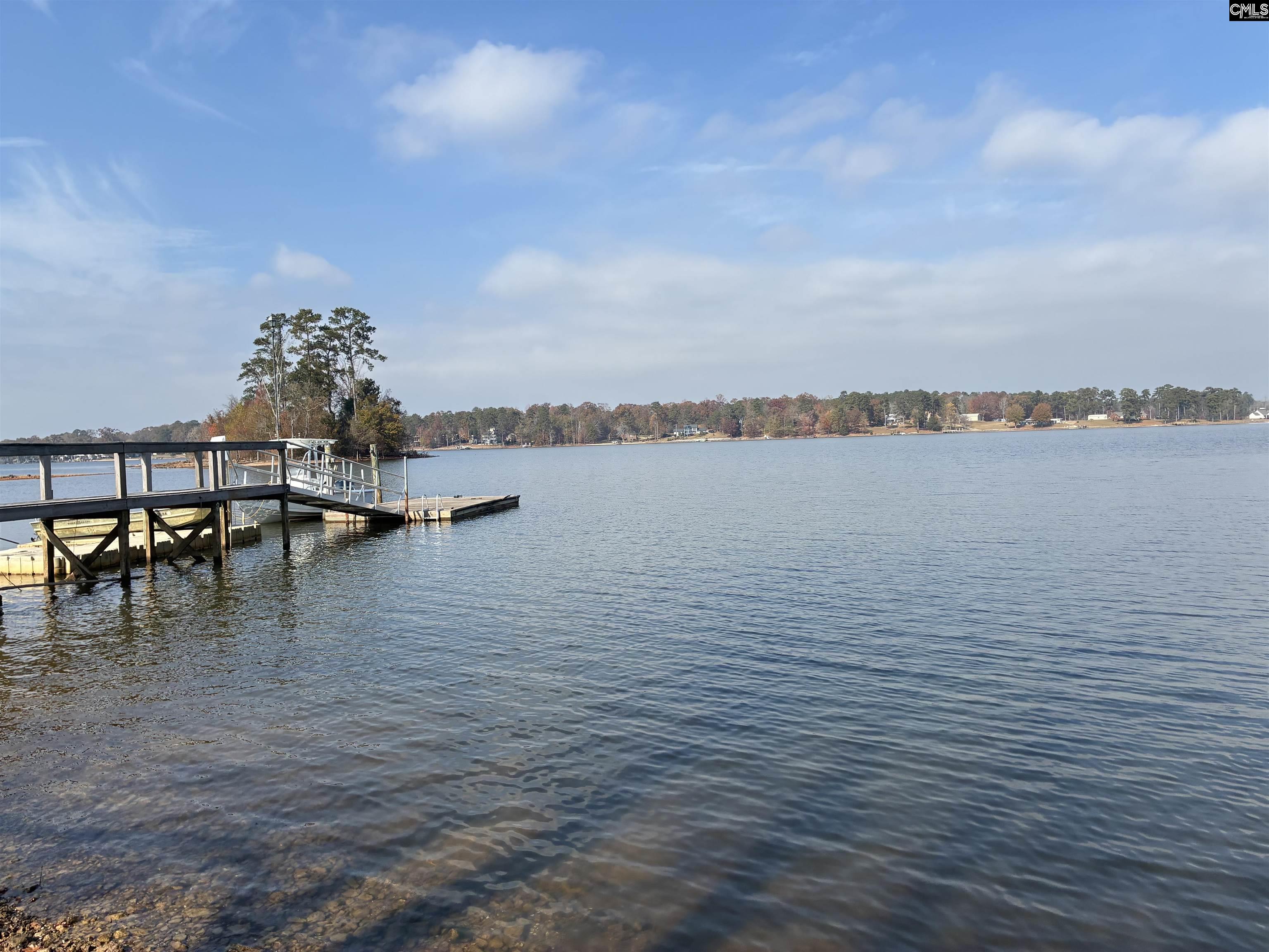 266 Saluda Waters Point Leesville, SC 29070 - Photo 4 of 7