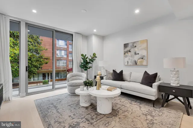 a living room with furniture a lamp and a potted plant
