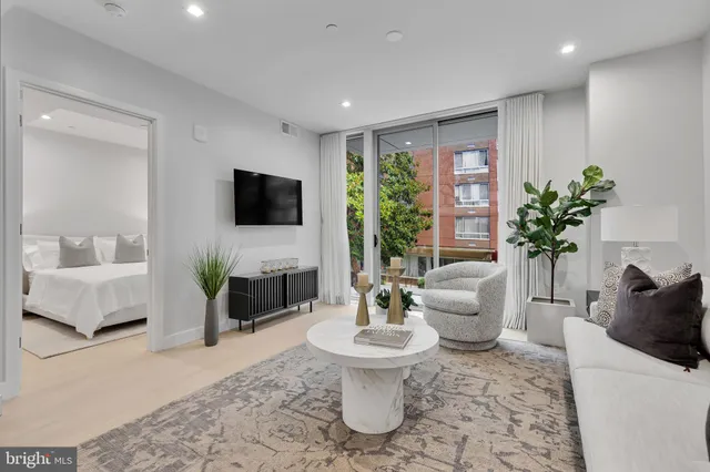 a living room with furniture and a potted plant