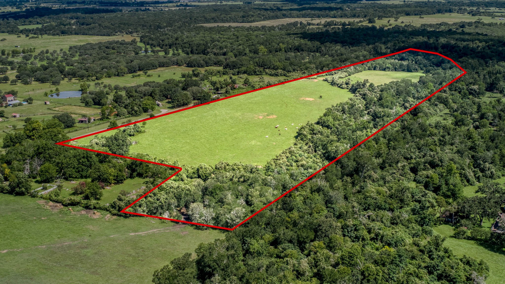 Tbd Holik Road Hempstead, TX 77445 - Photo 6 of 50