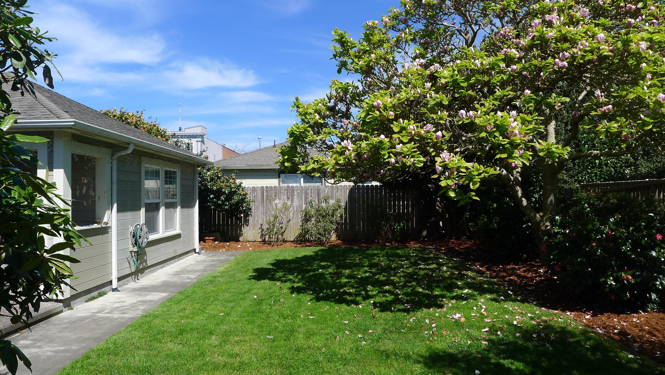 619 G Street Arcata, CA 95521 - Photo 5 of 15