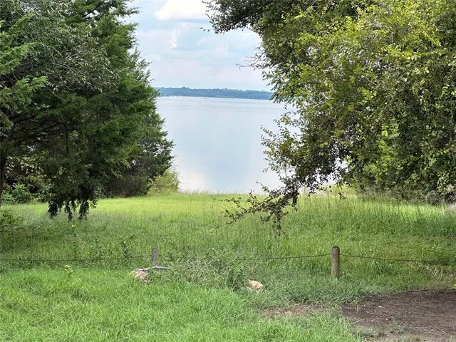 a view of a lush green space