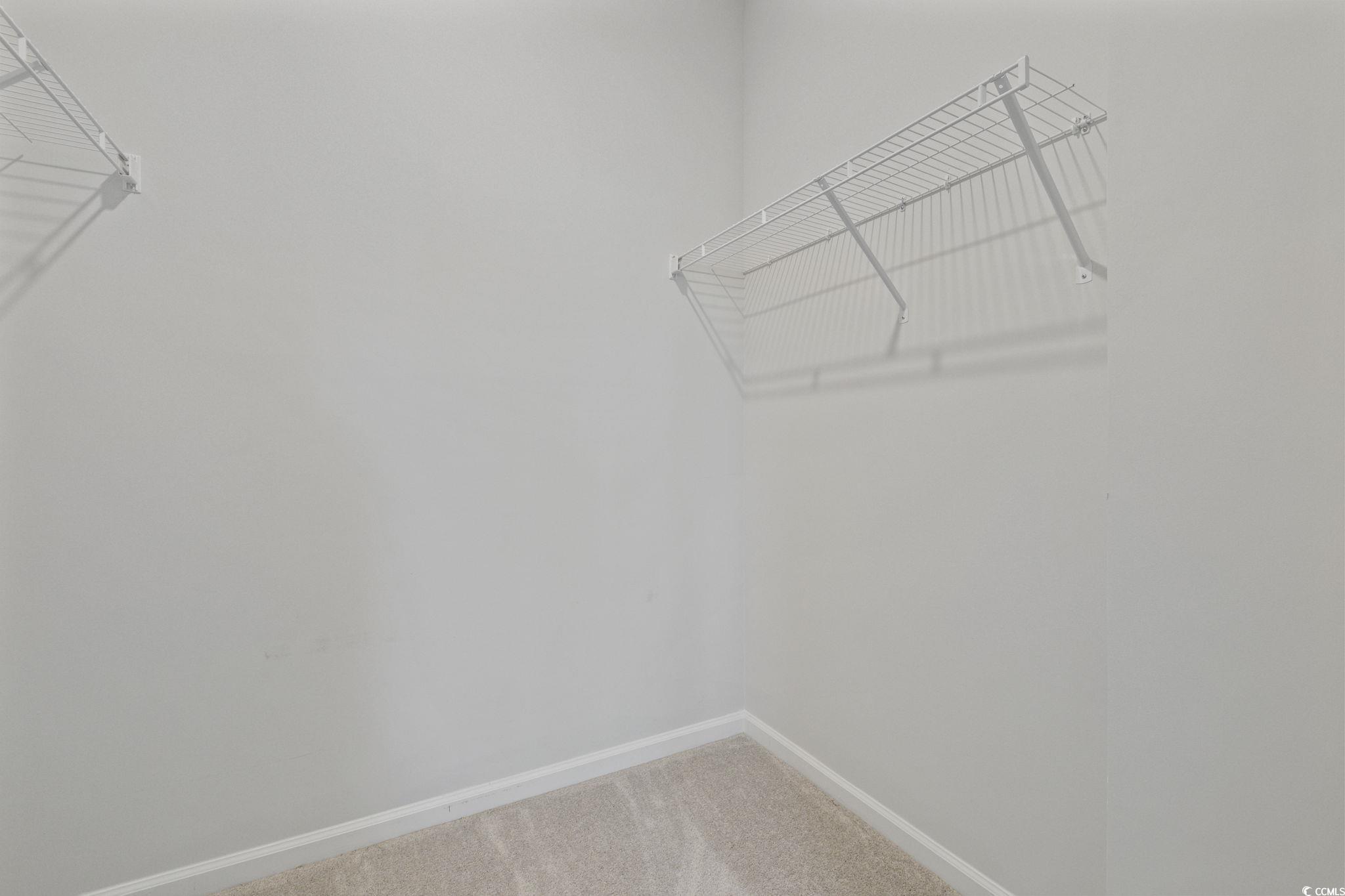 2595 Blue Crane Circle, Unit 102 Myrtle Beach, SC 29577 - Photo 34 of 40 Walk in closet featuring light colored carpet