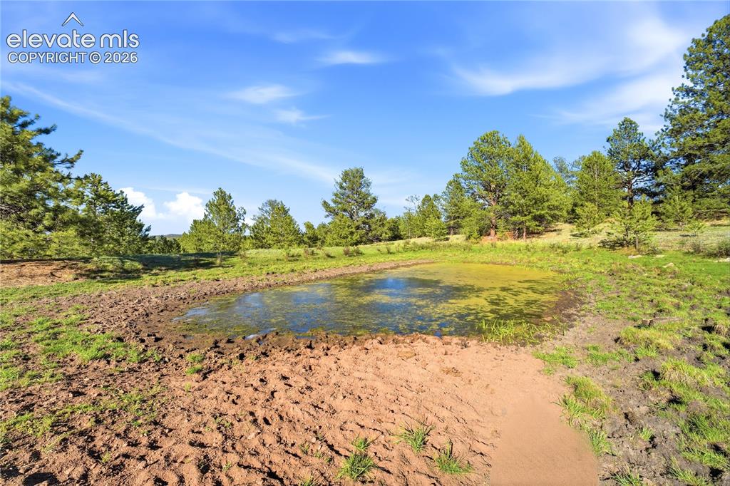 Doe Valley Road Guffey, CO 80820 - Photo 5 of 19 Natural pond surrounded by a blend of grass and exposed earth