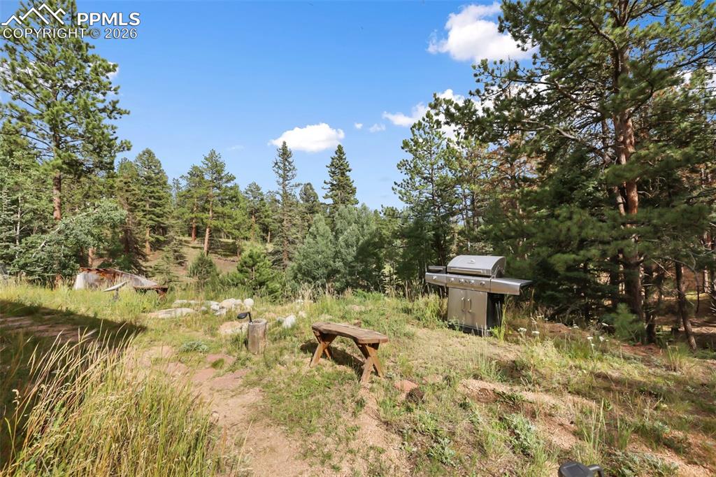 410 Rangeview Road Divide, CO 80814 - Photo 15 of 23 View from front