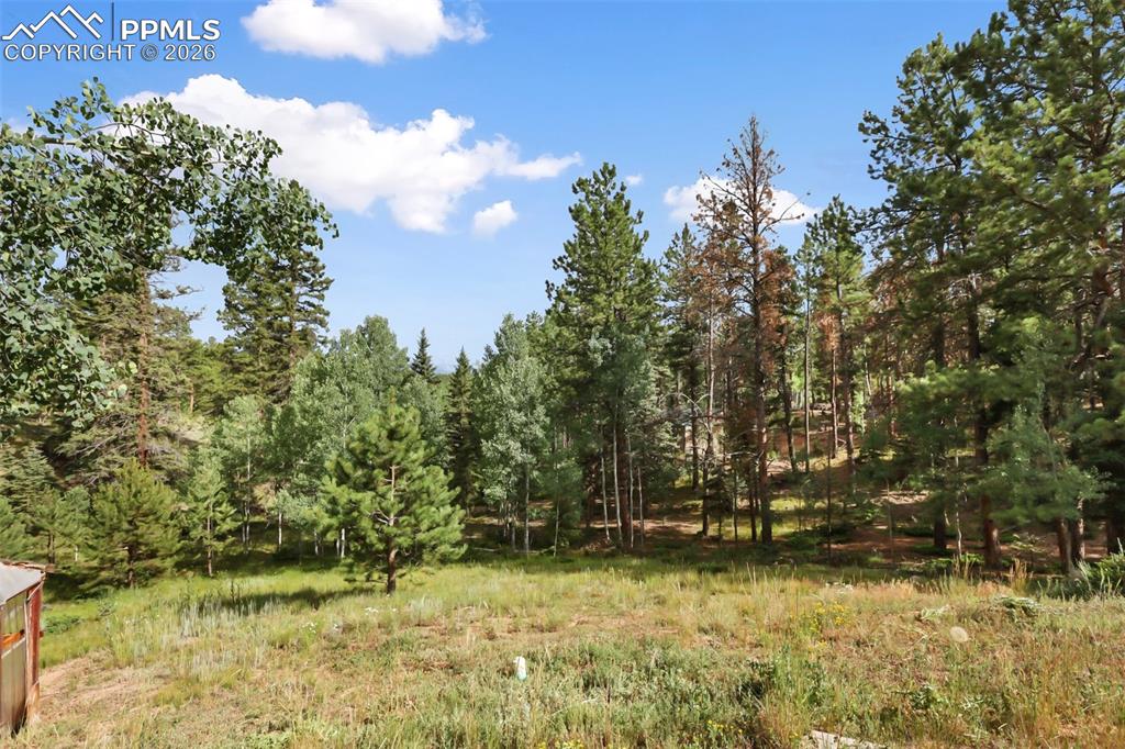 410 Rangeview Road Divide, CO 80814 - Photo 17 of 23