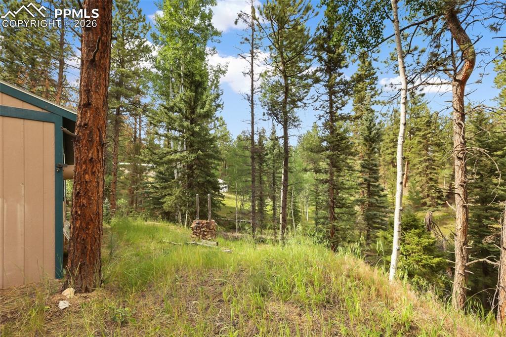 410 Rangeview Road Divide, CO 80814 - Photo 18 of 23