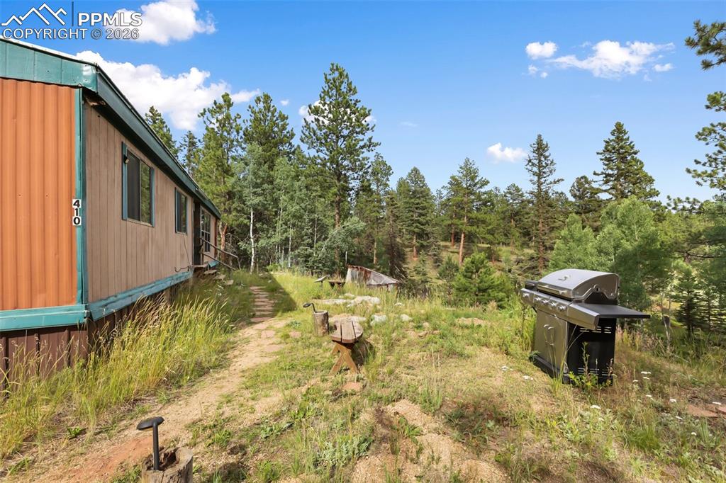 410 Rangeview Road Divide, CO 80814 - Photo 2 of 23 Walk-way