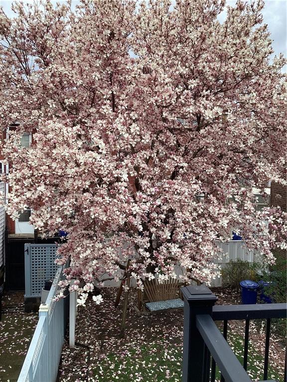 164 45th Street Pittsburgh, PA 15201 - Photo 44 of 47 a balcony with tall trees