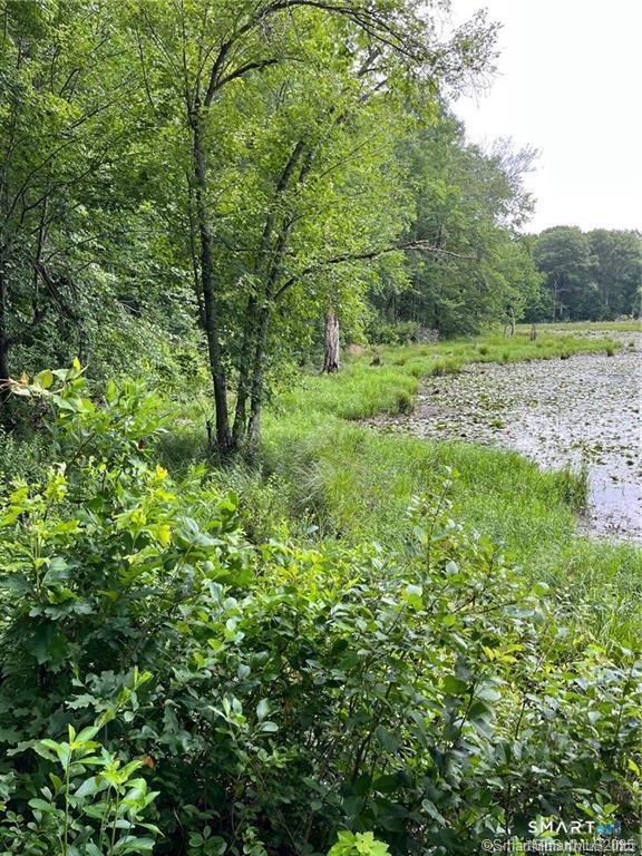 353 Allentown Road Plymouth, CT 06786 - Photo 1 of 9 a view of a lush green forest