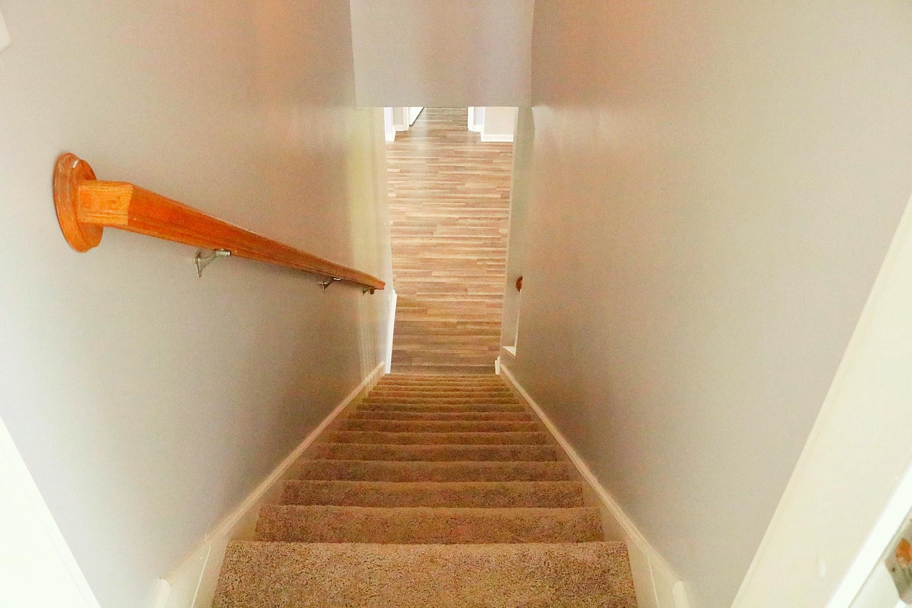 253 Trigonia Road Greenback, TN 37742 - Photo 19 of 25 Gallery Image 19
