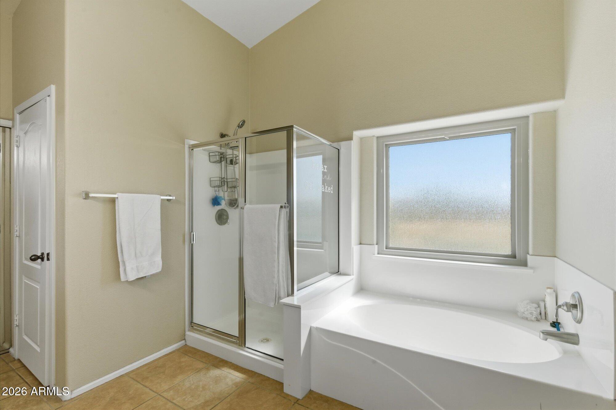 21915 Dietz Drive Maricopa, AZ 85138 - Photo 17 of 31 a bathroom with a sink and a shower