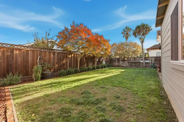 a view of a backyard