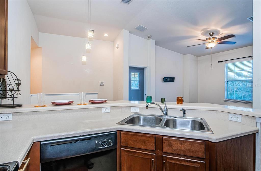 9013 Moonlit Meadows Loop Riverview, FL 33578 - Photo 18 of 43 a kitchen with a sink cabinets and window