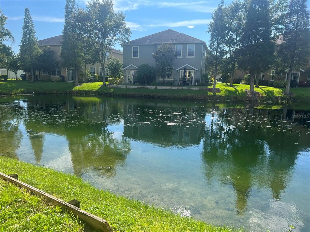 9013 Moonlit Meadows Loop Riverview, FL 33578 - Photo 37 of 43 a view of a lake with a house