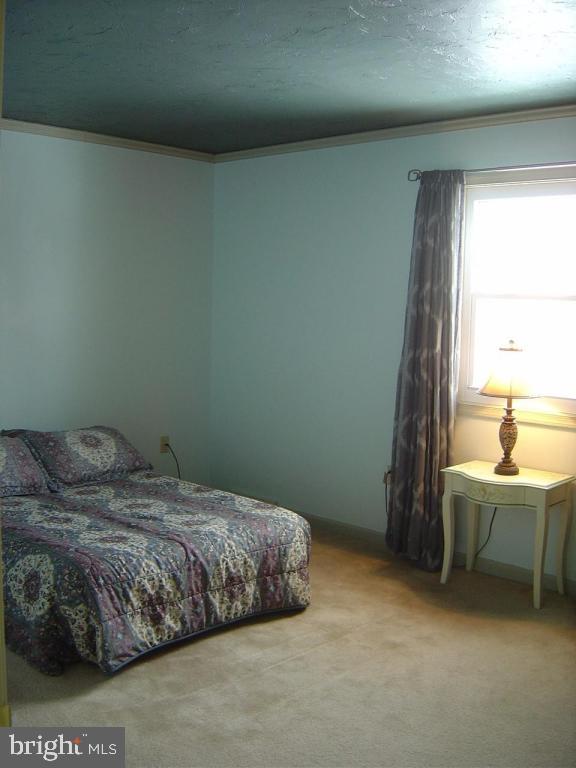 325 South Ridge Road Reinholds, PA 17569 - Photo 13 of 25