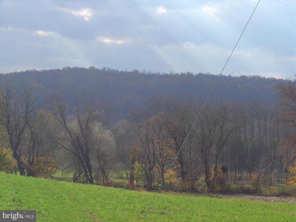 325 South Ridge Road Reinholds, PA 17569 - Photo 21 of 25